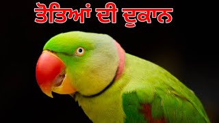 ਬੋਲਣ ਵਾਲੇ ਤੋਤੇ ਖਰੀਦੋ ਇਸ ਦੁਕਾਨ ਤੋਂ Punjab Bird Shop