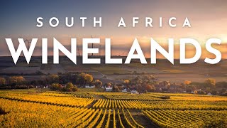 STELLENBOSCH wineries and beach leisure at KNYSNA | South Africa