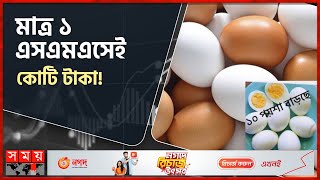 ডিম সিন্ডিকেটের কাজ কী? | Egg Market | Egg Price | Rajshahi Egg Farm | Somoy TV