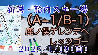 胎内スキー場のコースを全部滑ろう！PART 2 (A-1/B-1)鹿ノ俣ゲレンデ