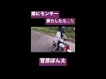 バイクの練習でモンキー乗らしたら…🐒