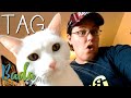 TAG de las 20 canciones (ft. Boo the cat)