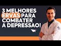 As 3 melhores ervas para combater a DEPRESSÃO!