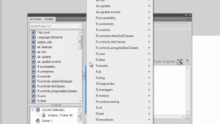 Flash's Actions and Code Snippets Panels