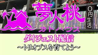 ［夏休み自由研究 2022］トリオプスを育てよう!!