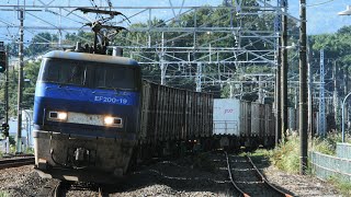 JRE231系/E233系/EF66/EF200 普通/快速/貨物 小田原方面 JR東海道本線 真鶴駅 入線通過集