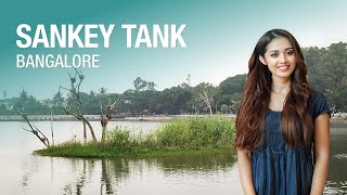 Sankey Tank: A Birdwatcher's Paradise in Bangalore 🦆🌳 2024