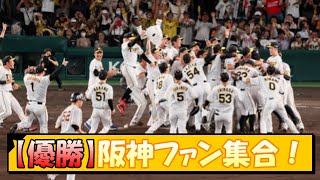 【優勝！】阪神ファン集合！【なんJ 阪神ファン 反応 まとめ】【プロ野球ニュース】