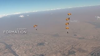 DIPC 4 DAY 6: CANOPY FORMATION