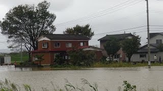 4K【信濃川・現在の状況】新潟県長岡市大宮！床下浸水！上流の長野市で堤防が決壊して住宅に濁流！【台風19号】