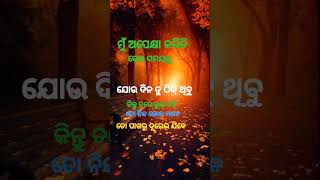 ମୁଁ ଅପେକ୍ଷା କରିଚି ସେଇ ସମୟକୁ