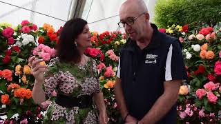 Ballarat Begonia Festival 2019 Display