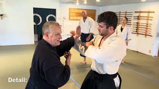 Aikido: Bridging Kihon Waza to Conceptual Understanding to Application