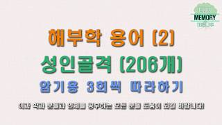 [의학] 인체해부학 용어 영어단어 따라하며 외우기(2) - 성인골격 54개단어