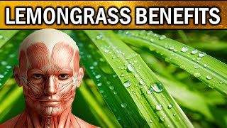 8 POWERFUL Health Benefits of LEMONGRASS For The Human Body
