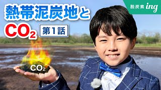 【IHIing】熱帯泥炭地とCO2（第1話）