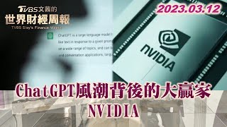 ChatGPT風潮背後的大贏家 NVIDIA TVBS文茜的世界財經周報 202300312