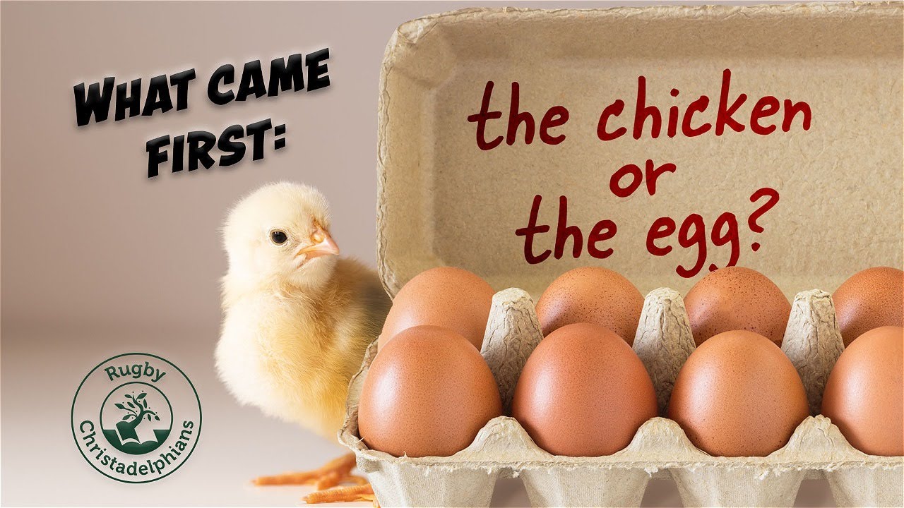 What Came First: The Chicken Or The Egg? - YouTube