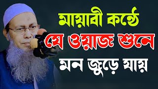 মন জুড়ানো সেই ভাইরাল ওয়াজ | মুফতি আব্দুল বাতেন কাসেমী | Mufti Abdul Baten kasemi waz 2025