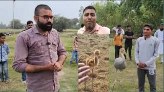 रातों-रात फेमस 🙏 छोटा सारस https://youtube.com/@Asatishvlogs