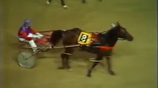 Harness Racing,Harold Park-18/03/1980 Inter-Dominion Heat-7 (Canis Minor-T.L.Thomas)