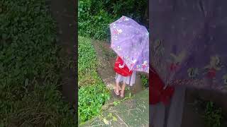 🌧️🌧️ പാലക്കാട്‌ ജില്ലയിലെ GVLP സ്കൂൾ ചിറ്റൂരിൽ പഠിക്കുന്ന എന്റെ മഴക്കാല അനുഭവം 🌧️🌧️😒