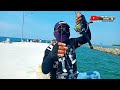 pulau untung jawa terbaru.. wisata mancing dan traveling ‼️ mancing liar mancing vaytvchannel