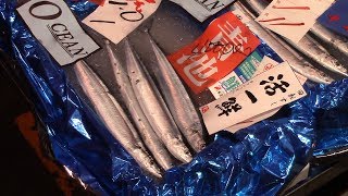 サンマ初競り、過去最高値　水揚げ量減、１キロ４０万円