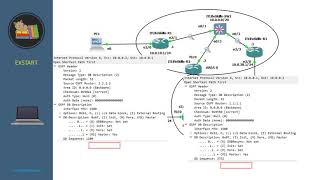 OSPF neighborship formation in a broadcast network