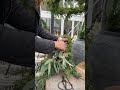 enklaste dörrdekorationen så här års ✨🌲💫 christmasdecor christmasdecorations christmas2024