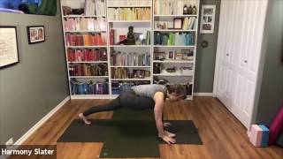 Harmony Yoga - Hip Openings 1