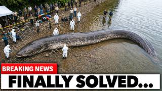 The Loch Ness Mystery Just Got A Final Answer And What The Scientists Found Changes Everything...