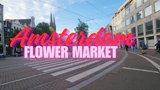 Strolling Muntplein to Amsterdam's Iconic Flower Market: A Canal-side Journey