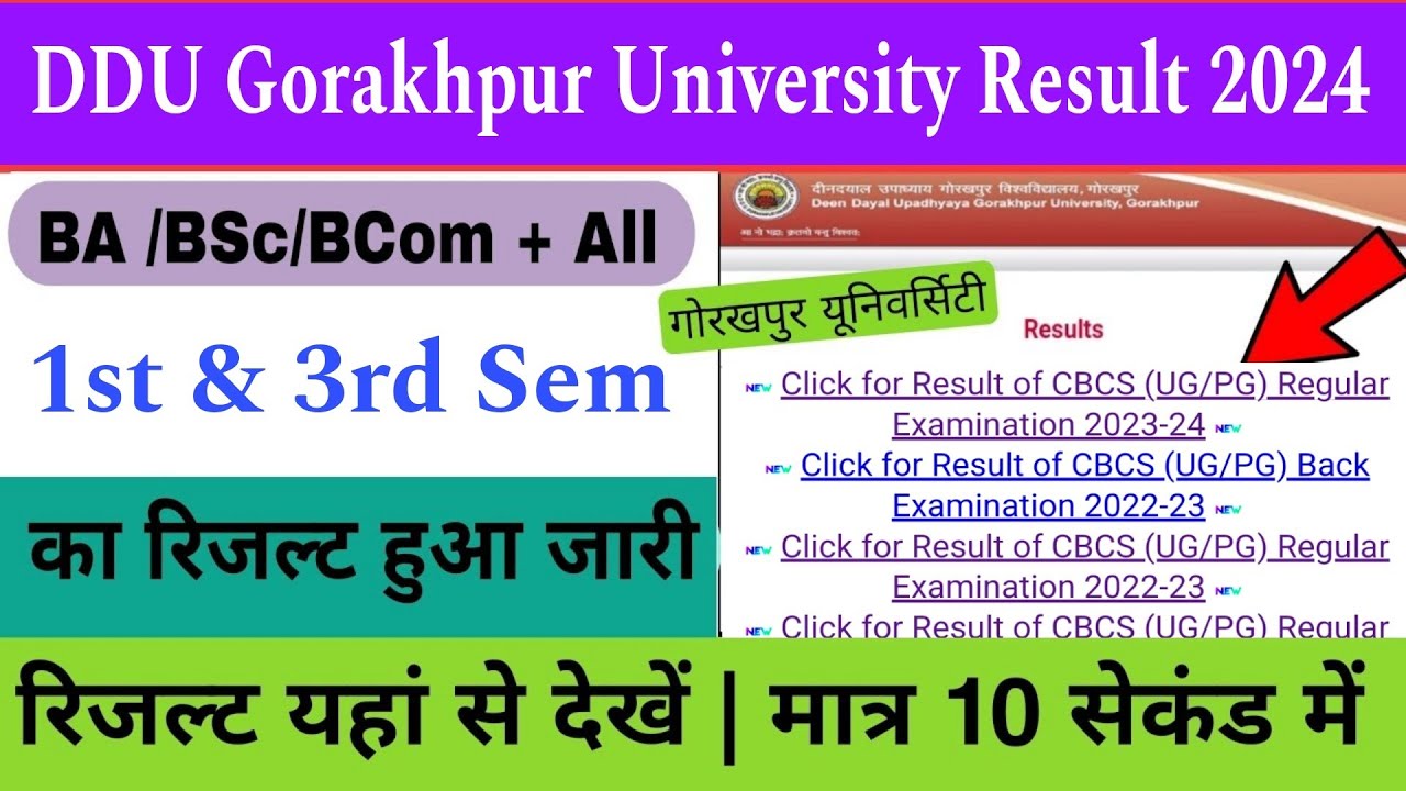 Ddu Ba Bsc Bcom 1st & 3rd Sem Result 2024| How To Check Ddu Gorakhpur ...