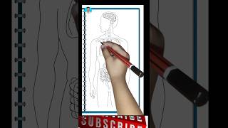 human body internal structure || how to draw internal structure of human body #neet