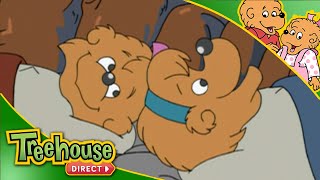 The Berenstain Bears | Best Buddies