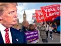 James O'Brien vs the link between Brexit and the rise of Donald Trump