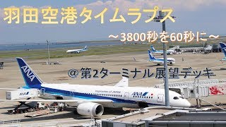 【タイムラプス】羽田空港～3800秒を60秒に～