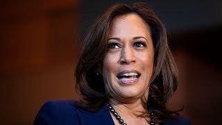 Lasry: Kamala Harris Would Be a 'Great' VP Pick for Biden