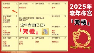 2025 蛇年運勢｜乙巳年｜天機｜流年運勢 | 2025乙巳年