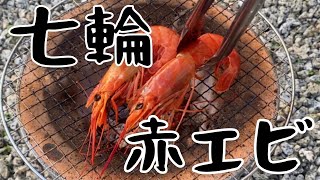 【香り高くて濃厚！お味噌も美味！】七輪で赤エビを焼きました【七輪女子】