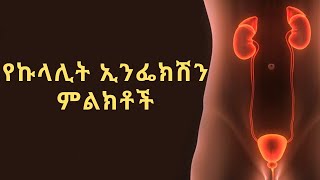 Ethiopia | የኩላሊት እንፌክሽን ምልክቶች | Signs Of Kidney Infection