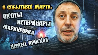 Обзор марта: окоты, ветеринары, маркировка и многое другое. \