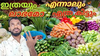 Profit In Vegetable Business | പച്ചക്കറിക്കട നടത്തിയാൽ എത്ര വരുമാനം കിട്ടും | selfie stick vlog