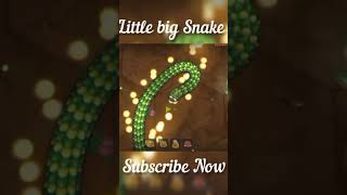 Littlebigsnake.io 🐍 | Little Big Snake Gameplay 💪 #technosapera #snake #games #littlebigsnakeio 04
