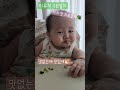 나의 첫 브로콜리 초기이유식 15일차 6개월아기 아이주도이유식 blw 식단 핑거푸드 my first broccoli