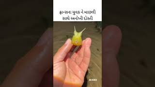 દુનિયાની સૌથી સુંદર માછલી #shorts #fish