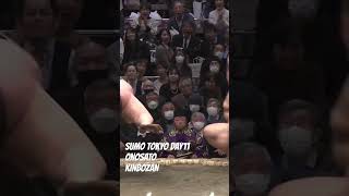 SUMO KINBOZAN-ONOSATO ＜TOKYO DAY11＞ #shorts