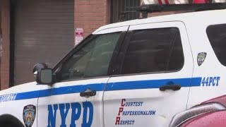 Torso found in Bronx apartment building: NYPD