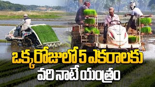 ఒక్కరోజులో 5 ఎకరాలకు వరి నాటే యంత్రం | Rice Planter | Easy Ideas For Rice Farming In Telug5u